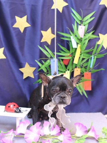 20230722さつきちゃん